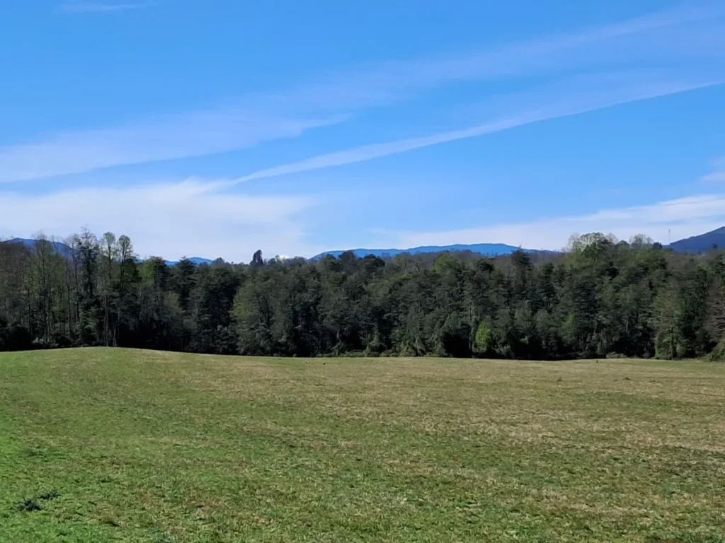 Parcelas Los Lagos, Los Ríos