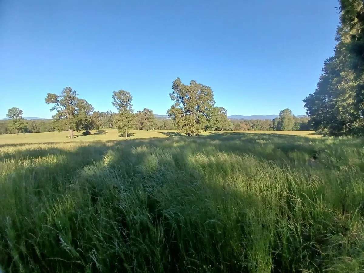 D_NQ_NP_2X_601998-MLC82167999645_012025-F-parcelas-los-lagos-los-rios