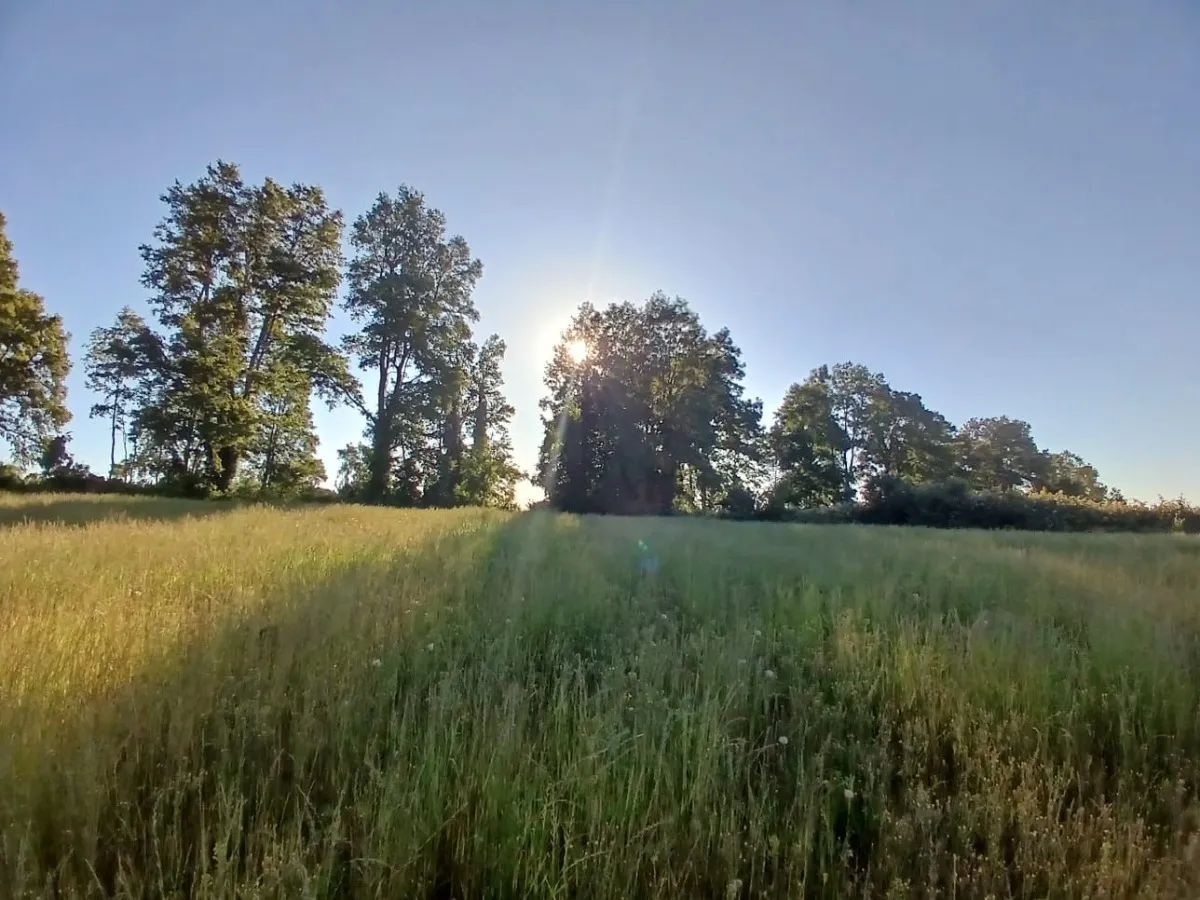 D_NQ_NP_2X_624914-MLC82167901947_012025-F-parcelas-los-lagos-los-rios