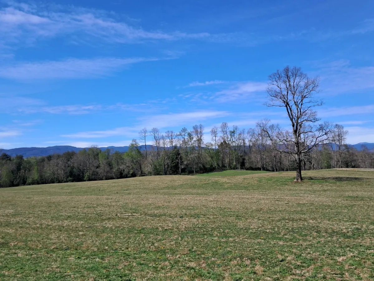 D_NQ_NP_2X_696666-MLC81887561604_012025-F-parcelas-los-lagos-los-rios