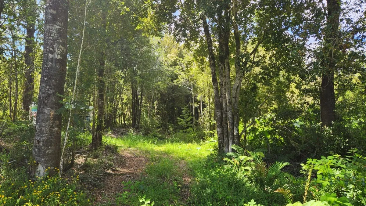 Parcela En Venta, Ensenada, Puerto Varas