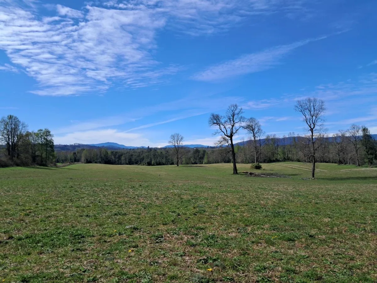 D_NQ_NP_2X_729819-MLC81887454094_012025-F-parcelas-los-lagos-los-rios