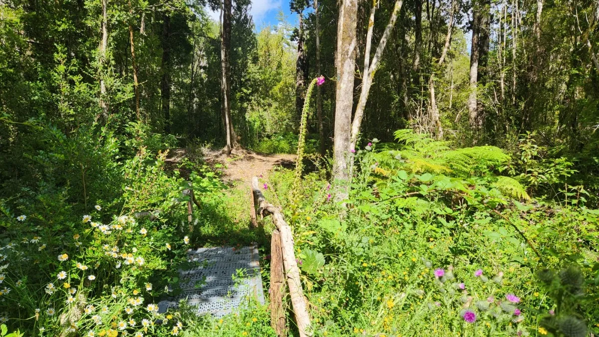 Parcela En Venta, Ensenada, Puerto Varas