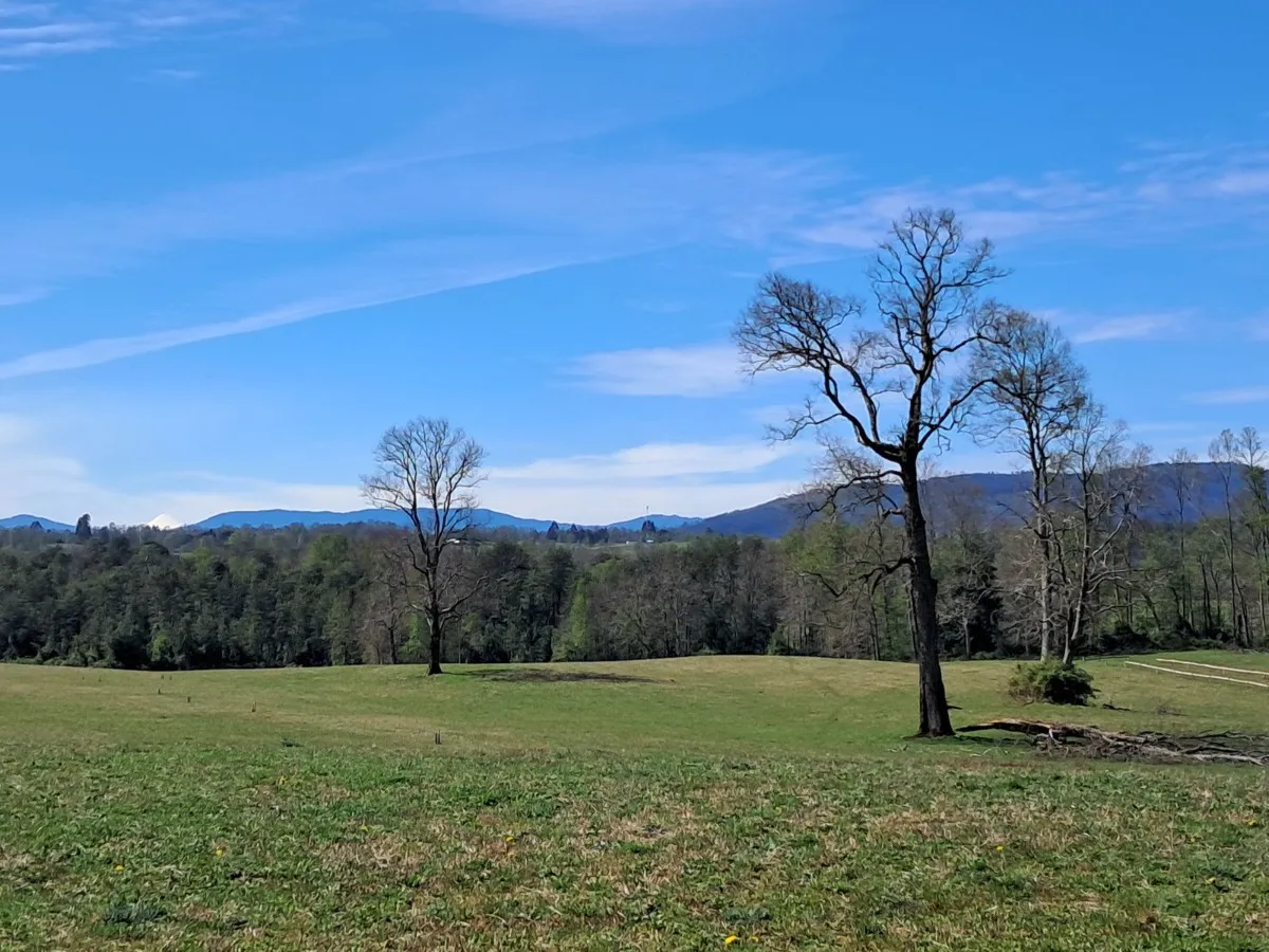 D_NQ_NP_2X_790570-MLC82168116477_012025-F-parcelas-los-lagos-los-rios