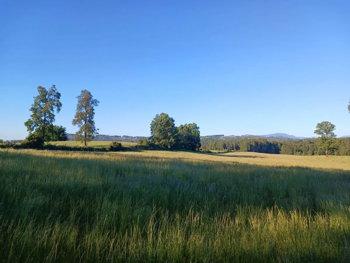 D_NQ_NP_2X_800359-MLC81887454088_012025-F-parcelas-los-lagos-los-rios