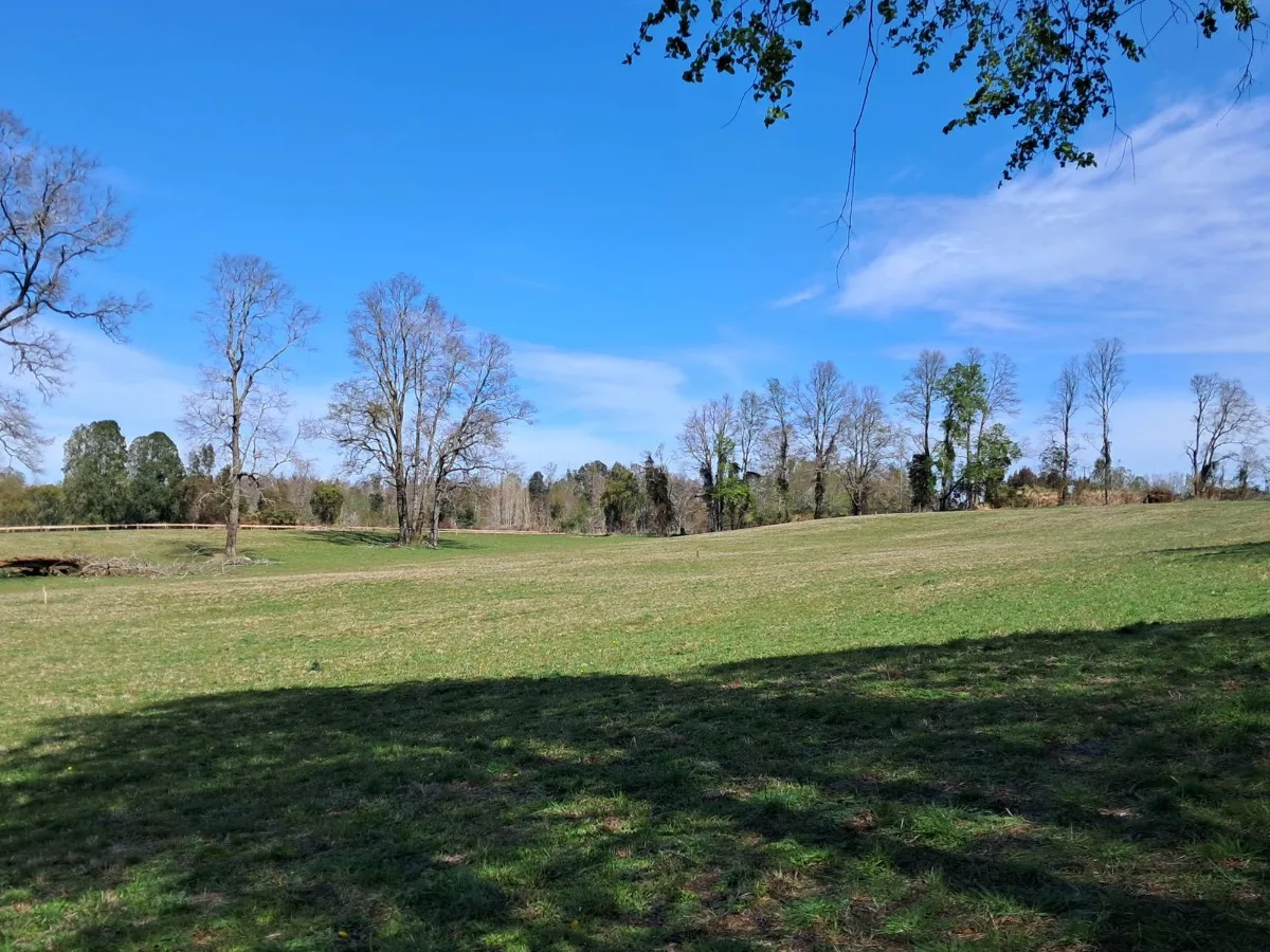 D_NQ_NP_2X_820953-MLC82167881817_012025-F-parcelas-los-lagos-los-rios