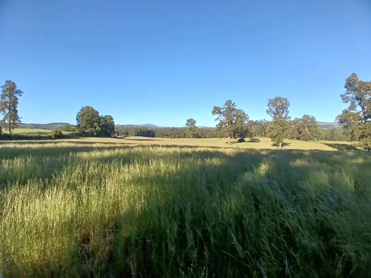 D_NQ_NP_2X_868107-MLC82167911571_012025-F-parcelas-los-lagos-los-rios