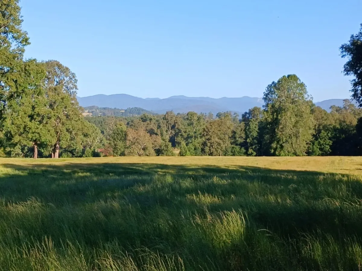 D_NQ_NP_2X_877153-MLC82167881801_012025-F-parcelas-los-lagos-los-rios