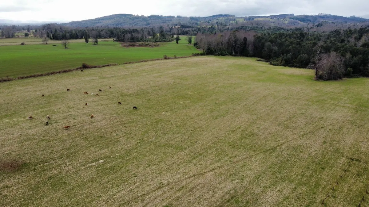 D_NQ_NP_2X_978494-MLC82167901941_012025-F-parcelas-los-lagos-los-rios