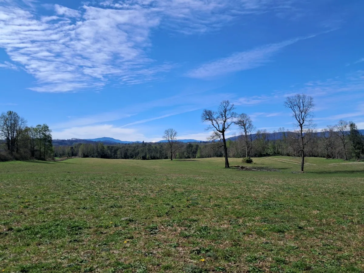 D_NQ_NP_2X_992175-MLC81887630784_012025-F-parcelas-los-lagos-los-rios