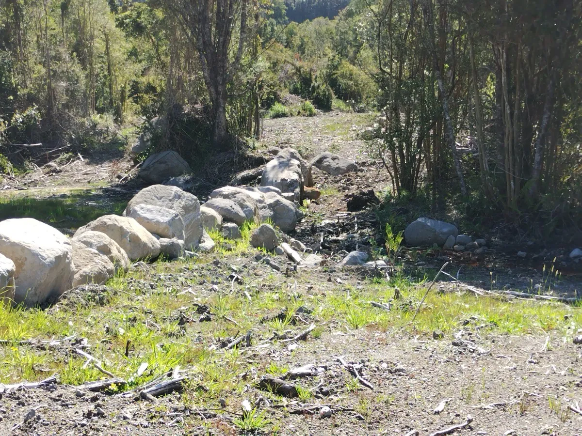 Parcela Urbanizada Con Bosque 03