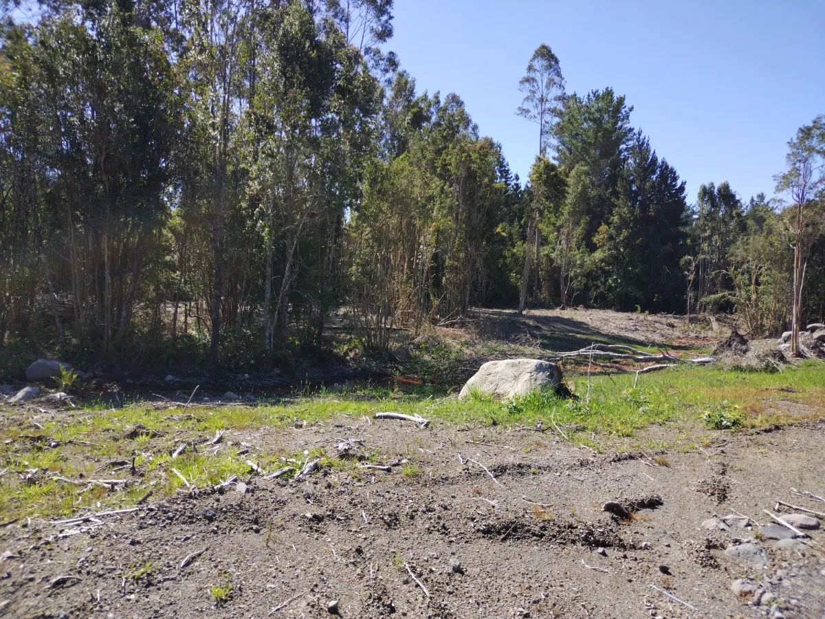 Parcela Urbanizada Con Bosque 05