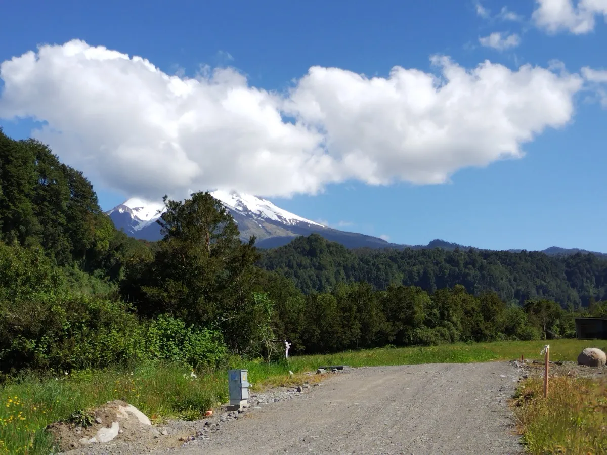 Parcela Urbanizada Con Bosque 07