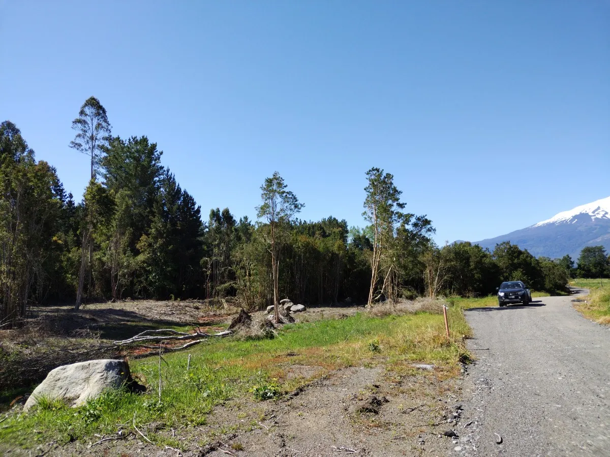 Parcela Urbanizada Con Bosque 08