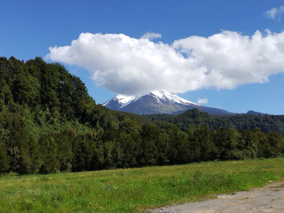 Parcela Urbanizada Con Bosque 10