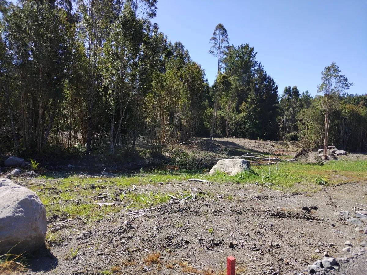 Parcela Urbanizada Con Bosque 12