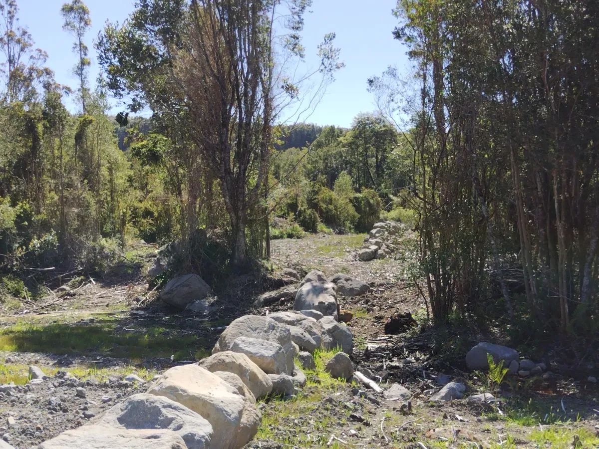 Parcela Urbanizada Con Bosque 14