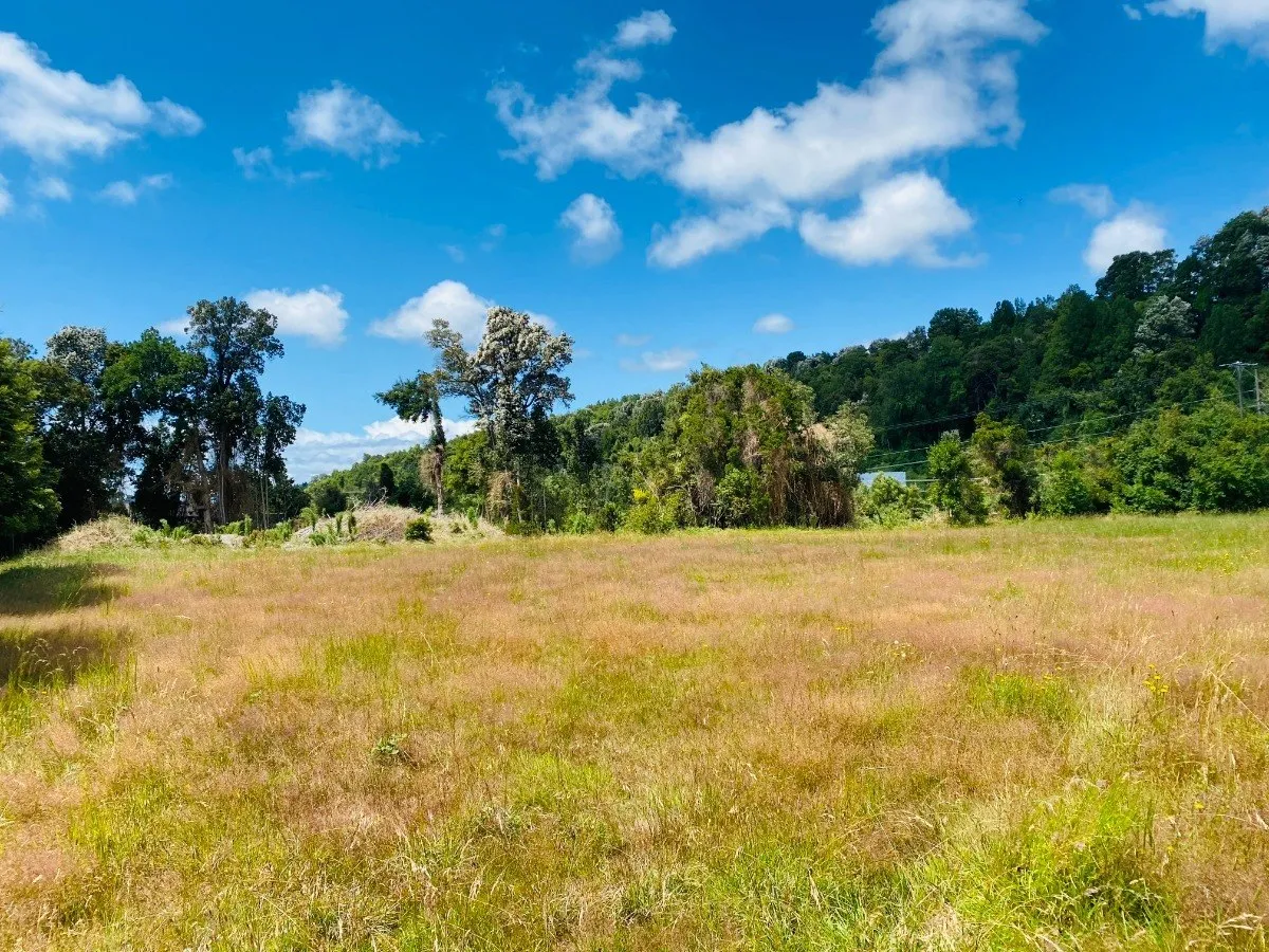 Parcela-en-condominio-con-playa-en-puerto-varas-02