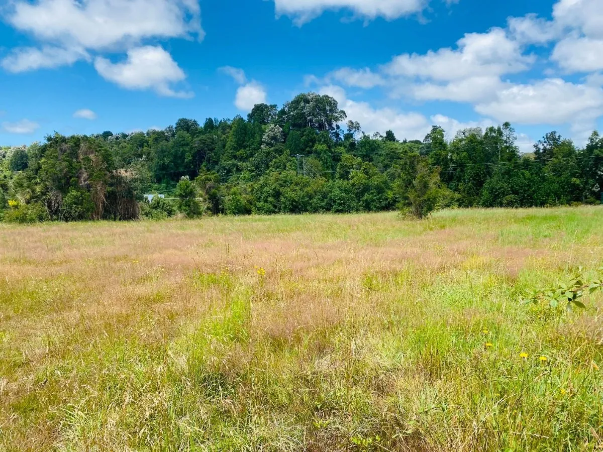 Parcela-en-condominio-con-playa-en-puerto-varas-03