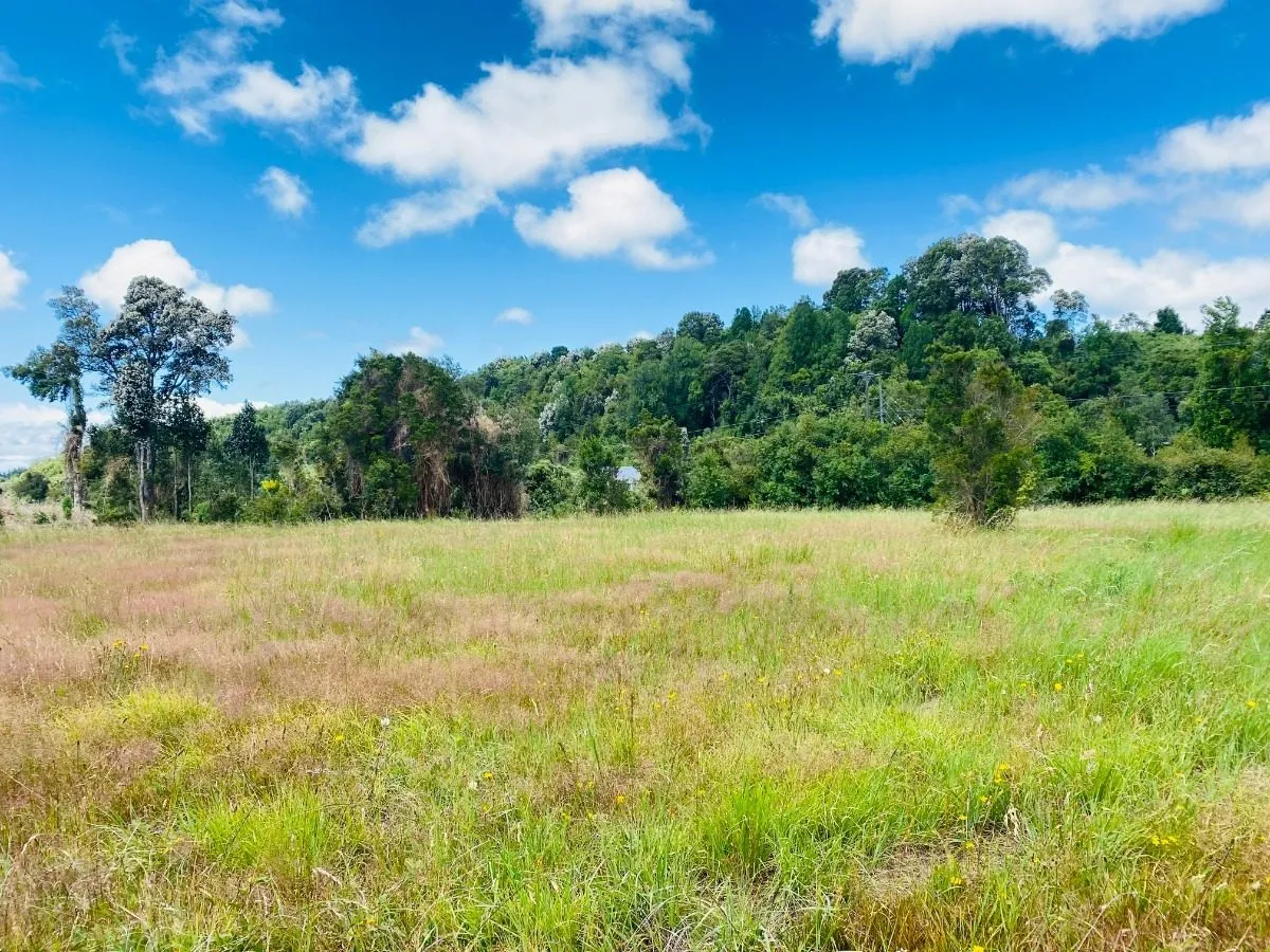 Parcela-en-condominio-con-playa-en-puerto-varas-04
