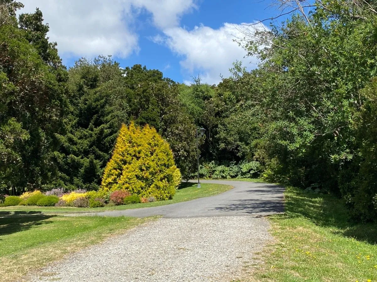 Parcela-en-condominio-con-playa-en-puerto-varas-09