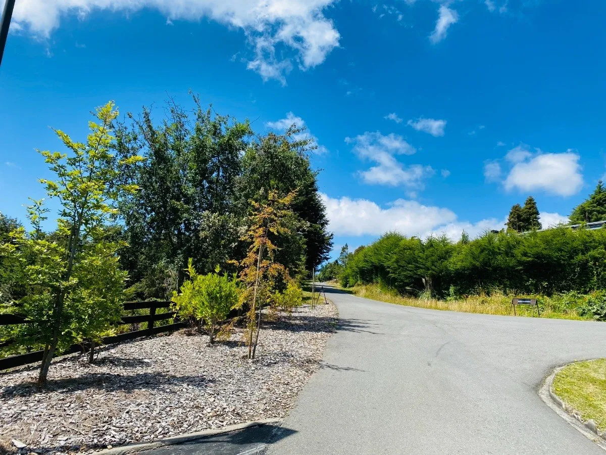 Parcela-en-condominio-con-playa-en-puerto-varas-10