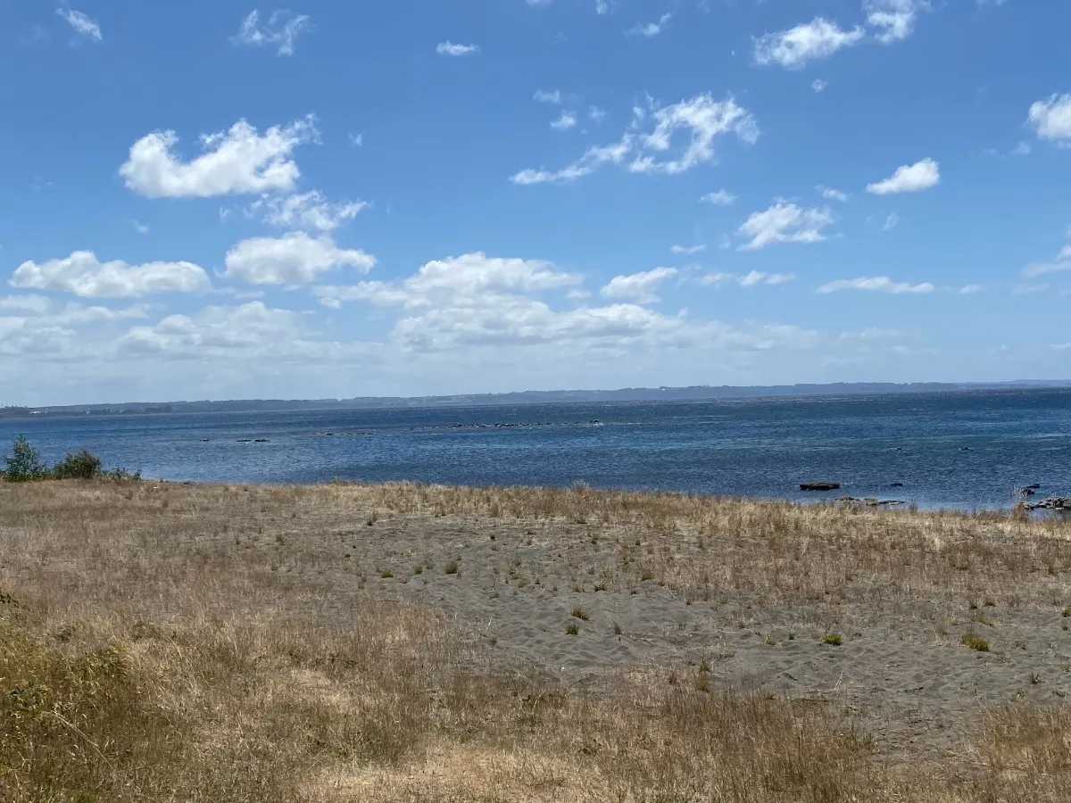 Parcela-en-condominio-con-playa-en-puerto-varas-11