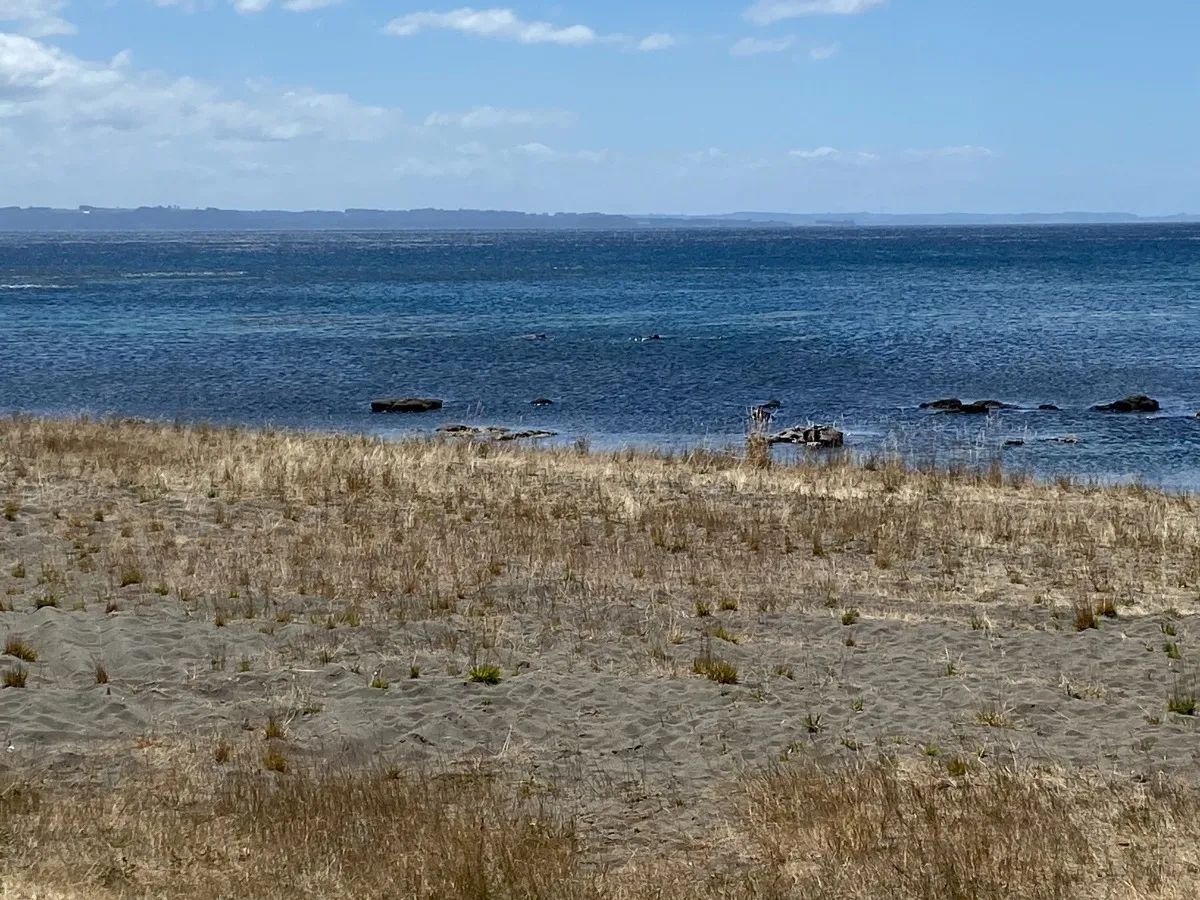 Parcela-en-condominio-con-playa-en-puerto-varas-12