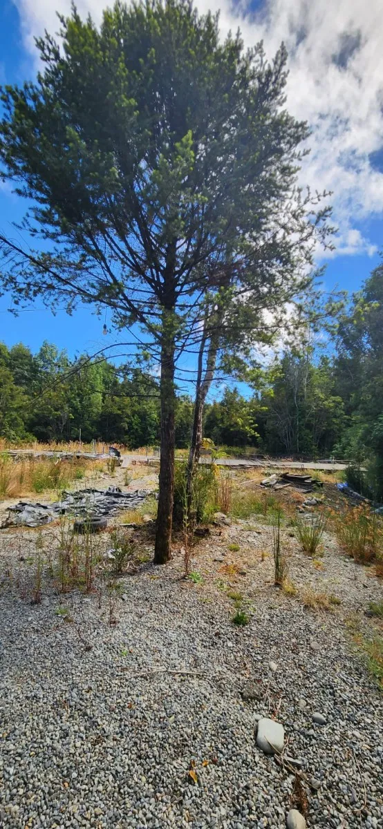 Parcela en puerto varas - 02