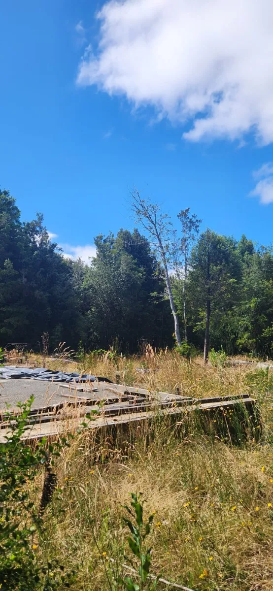 Parcela en puerto varas - 05