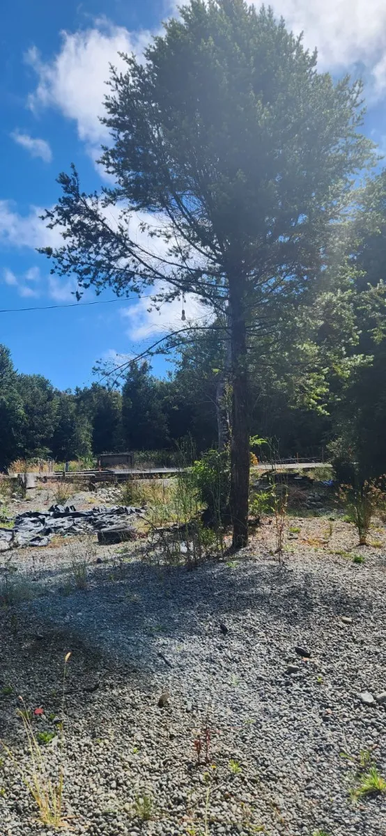 Parcela en puerto varas - 07