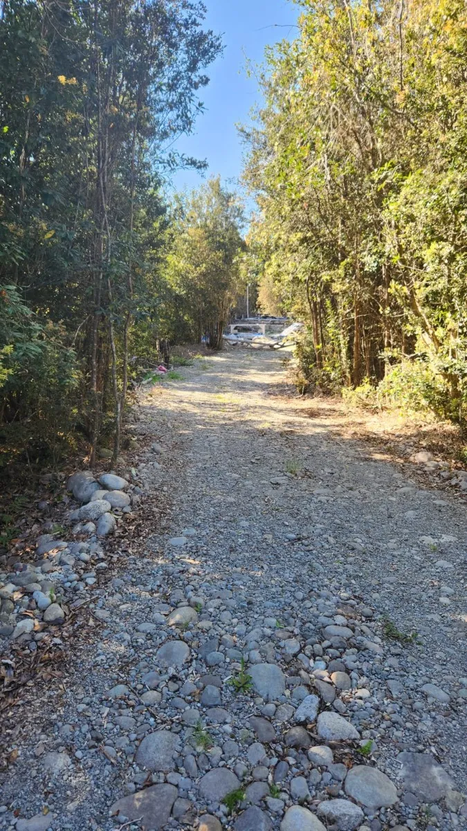 Parcela en puerto varas - 11