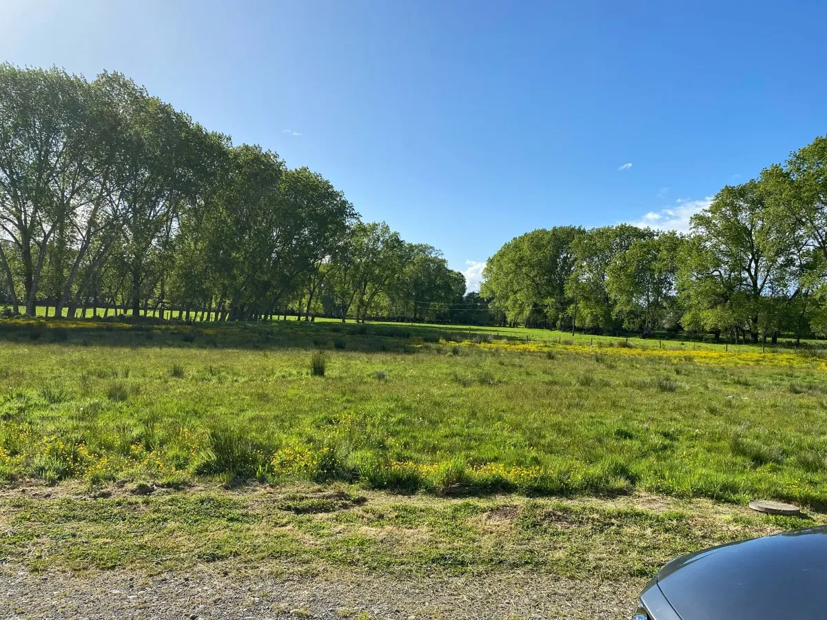 Parcela-urbanizada-frutillar-0