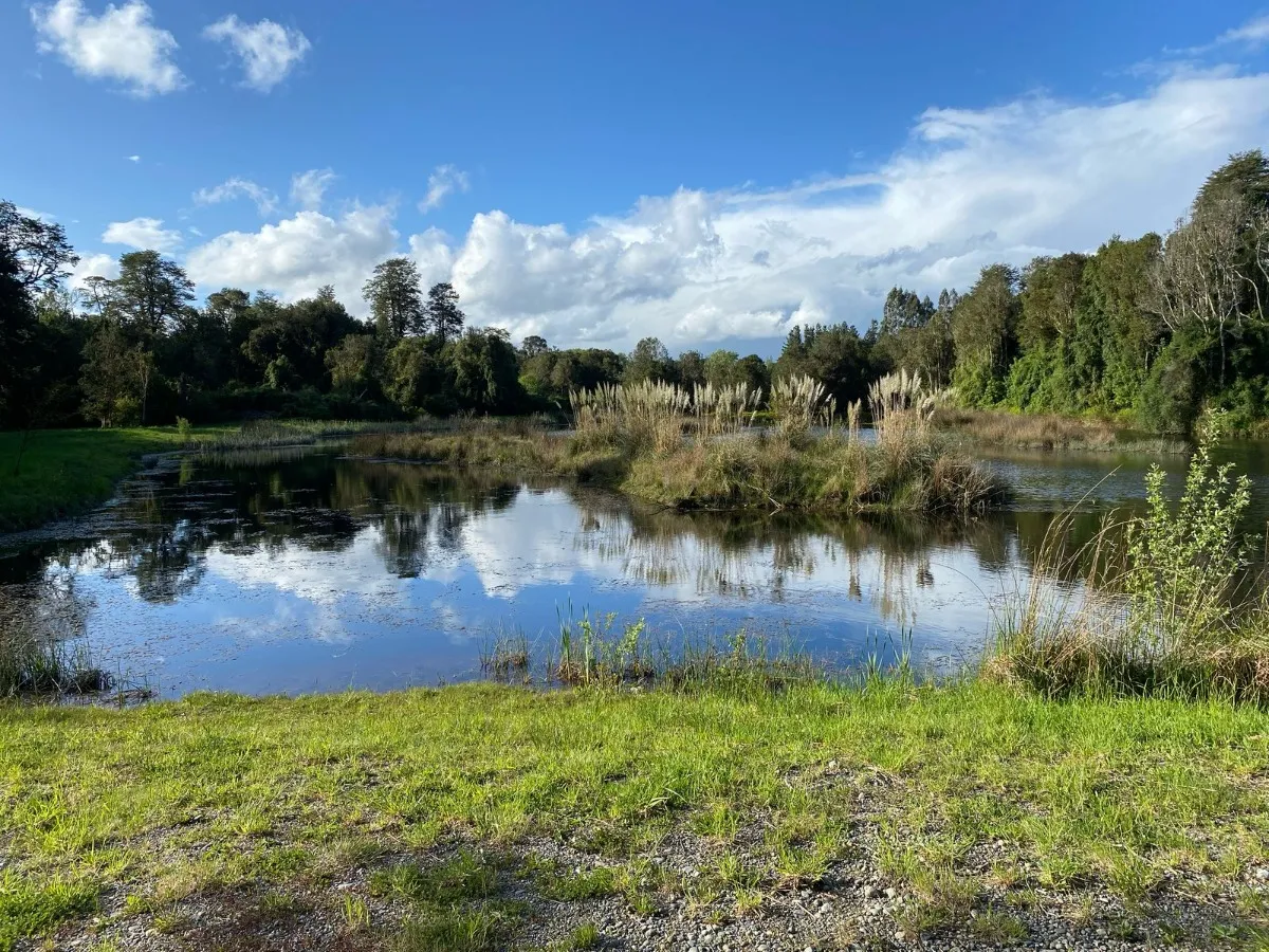 Parcela-urbanizada-frutillar-04