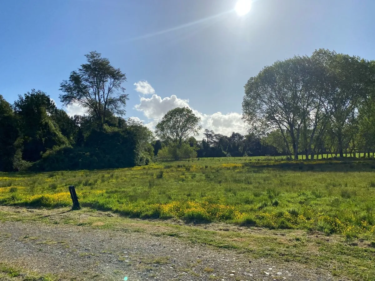 Parcela-urbanizada-frutillar-05