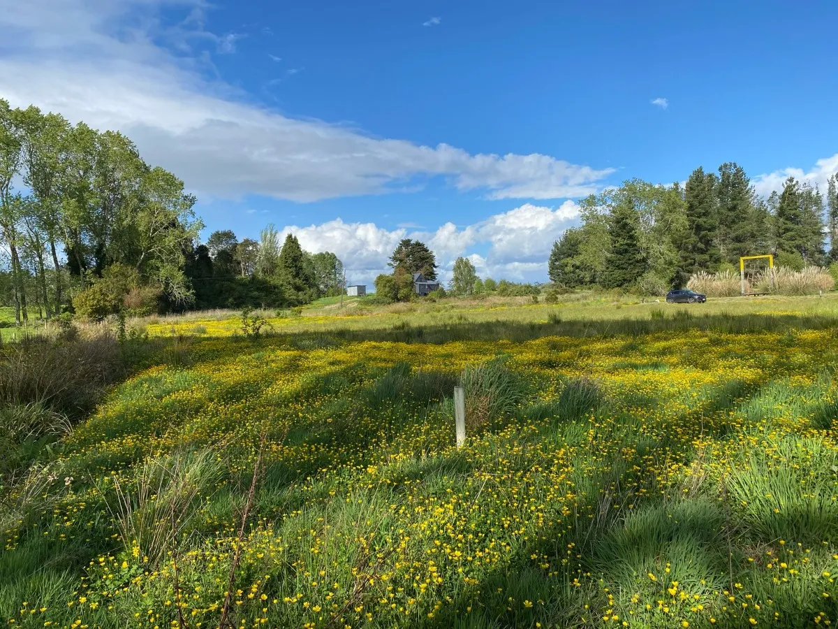 Parcela-urbanizada-frutillar-07