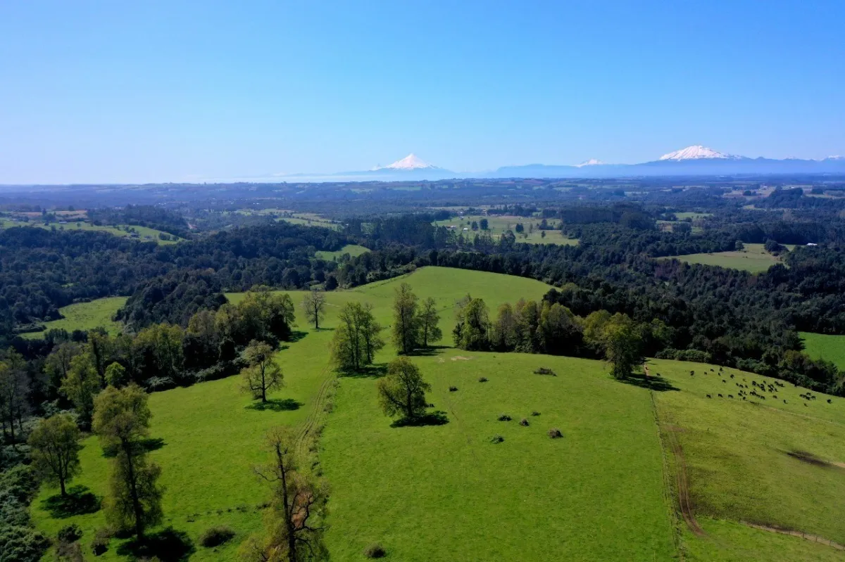 Parcelas Con Vista A Los Volcanes Puerto Varas 02
