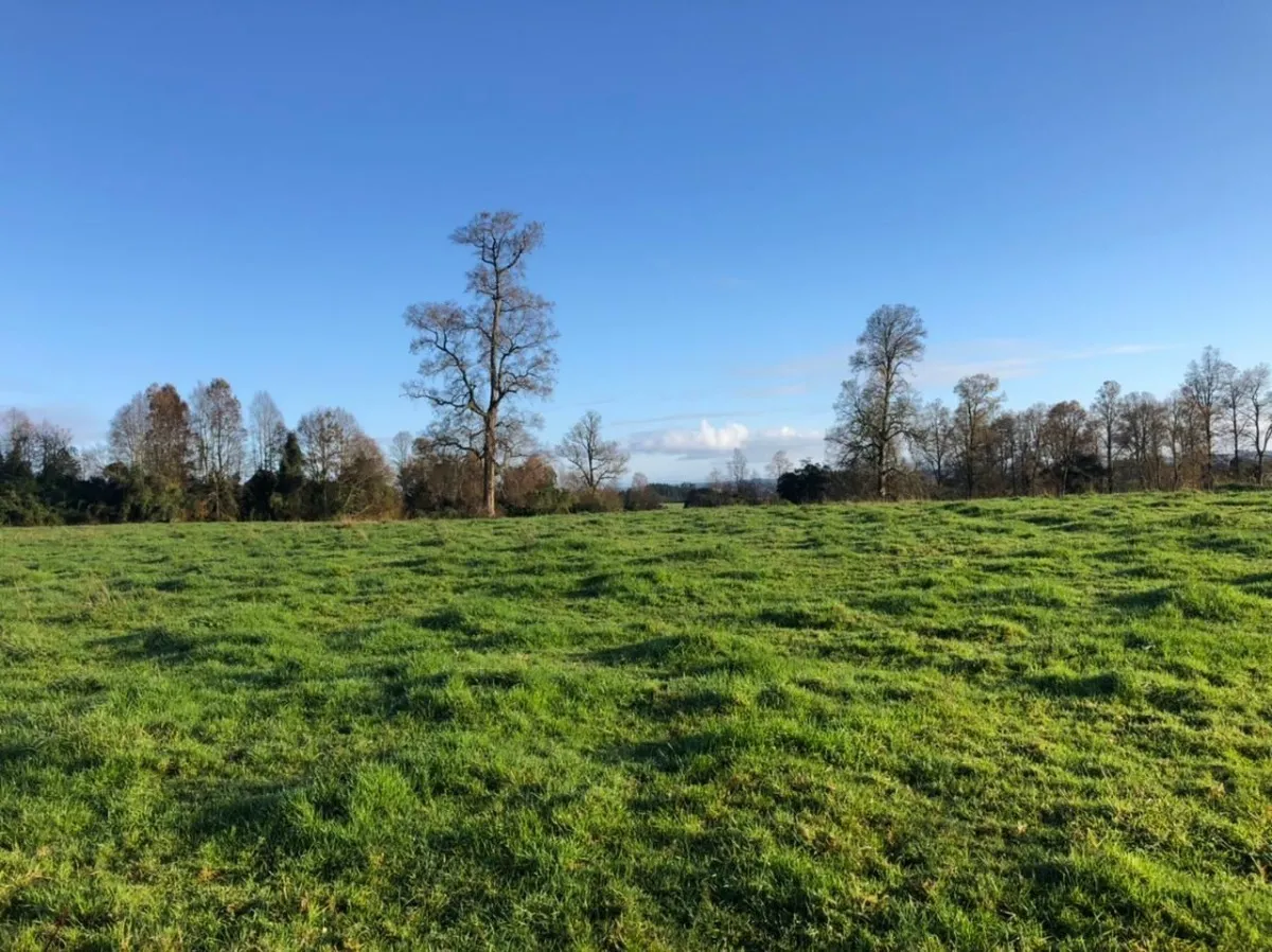Parcelas Con Vista A Los Volcanes Puerto Varas 03