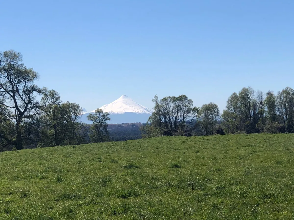 Parcelas Con Vista A Los Volcanes Puerto Varas 06