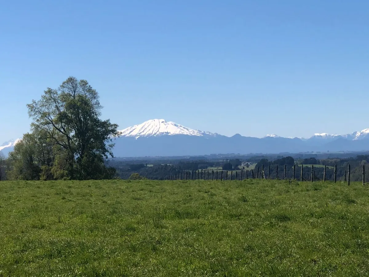 Parcelas Con Vista A Los Volcanes Puerto Varas 07
