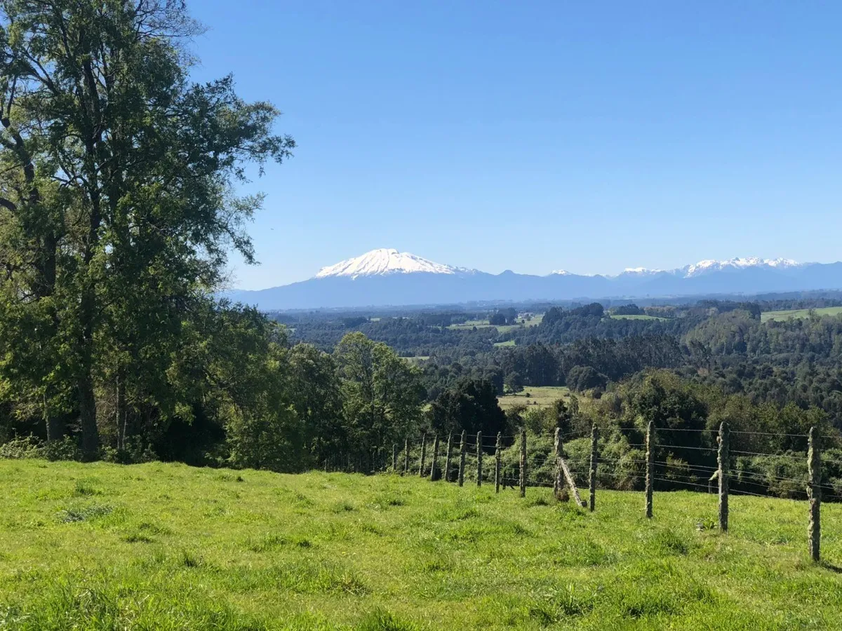 Parcelas Con Vista A Los Volcanes Puerto Varas 08