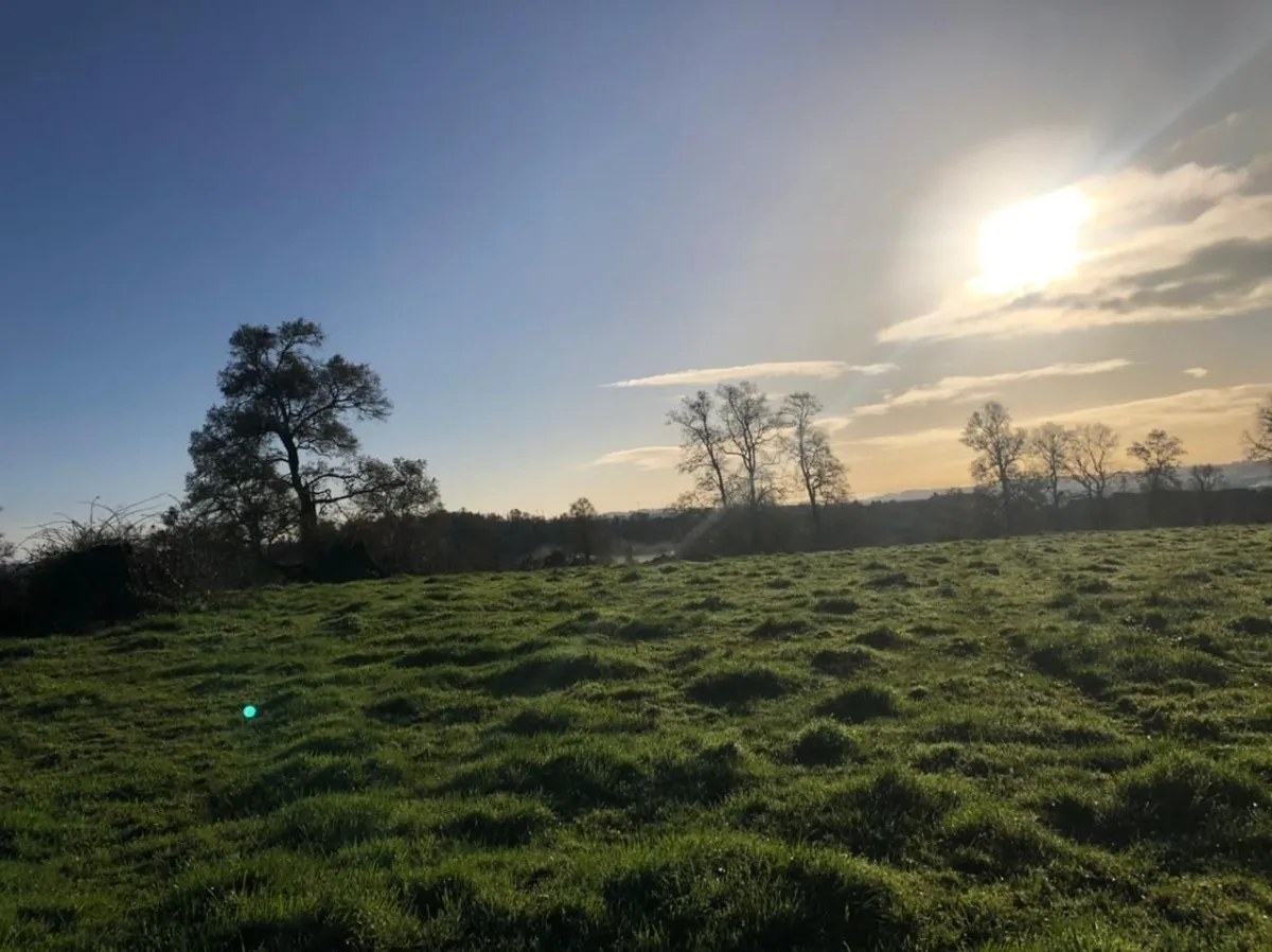 Parcelas Con Vista A Los Volcanes Puerto Varas 09