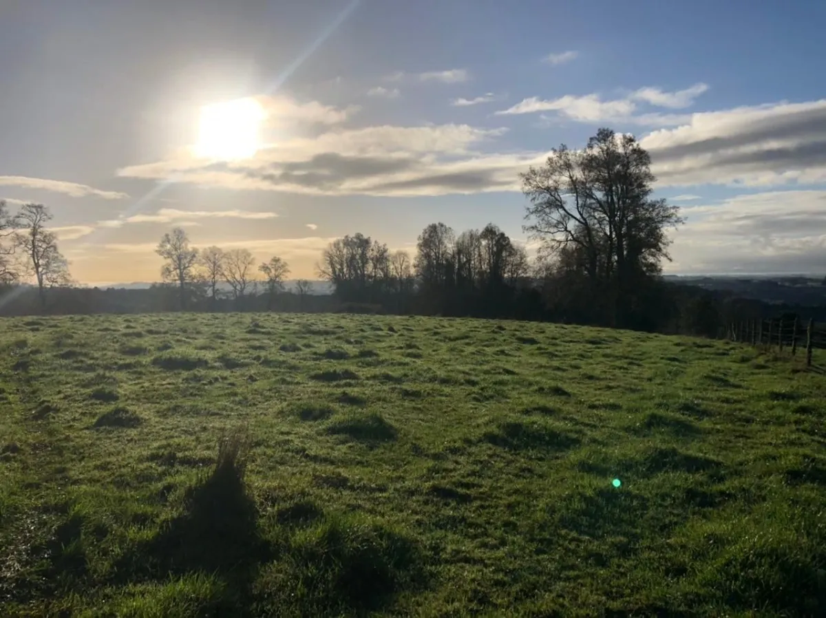 Parcelas Con Vista A Los Volcanes Puerto Varas 11