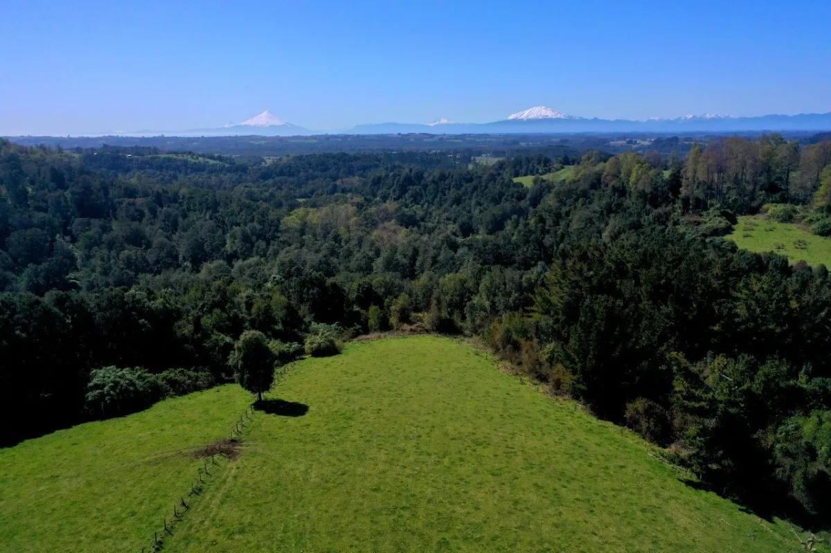 Parcelas Con Vista A Los Volcanes Puerto Varas 12