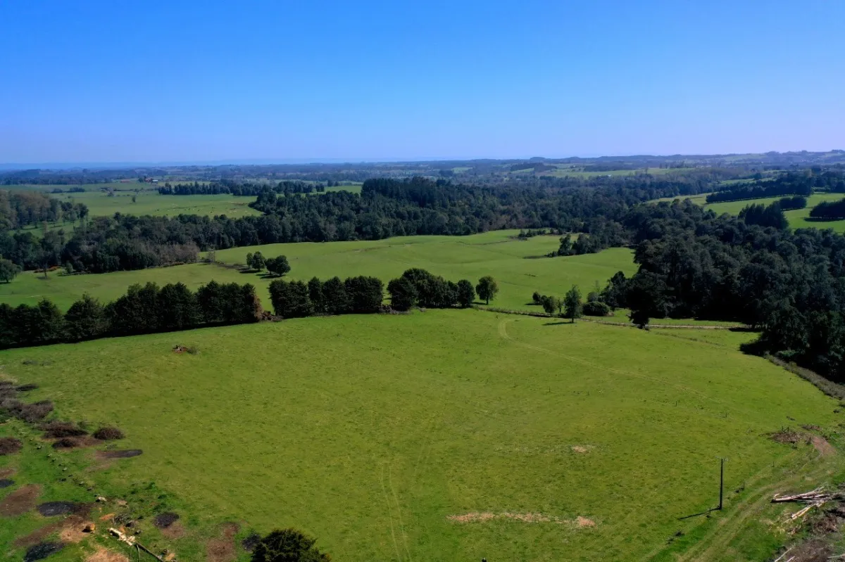 Parcelas Con Vista A Los Volcanes Puerto Varas 14