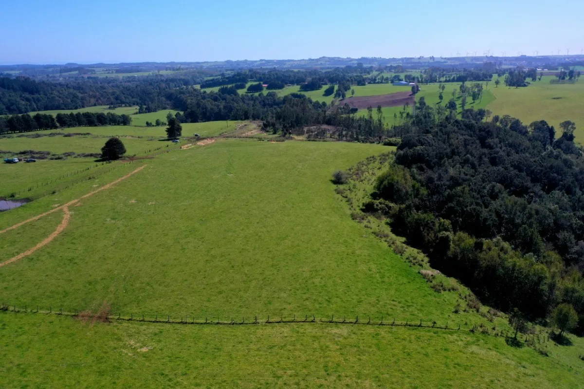Parcelas Con Vista A Los Volcanes Puerto Varas 15
