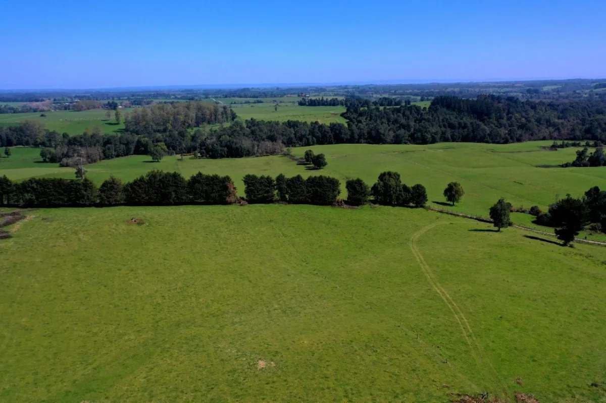 Parcelas Con Vista A Los Volcanes Puerto Varas 16