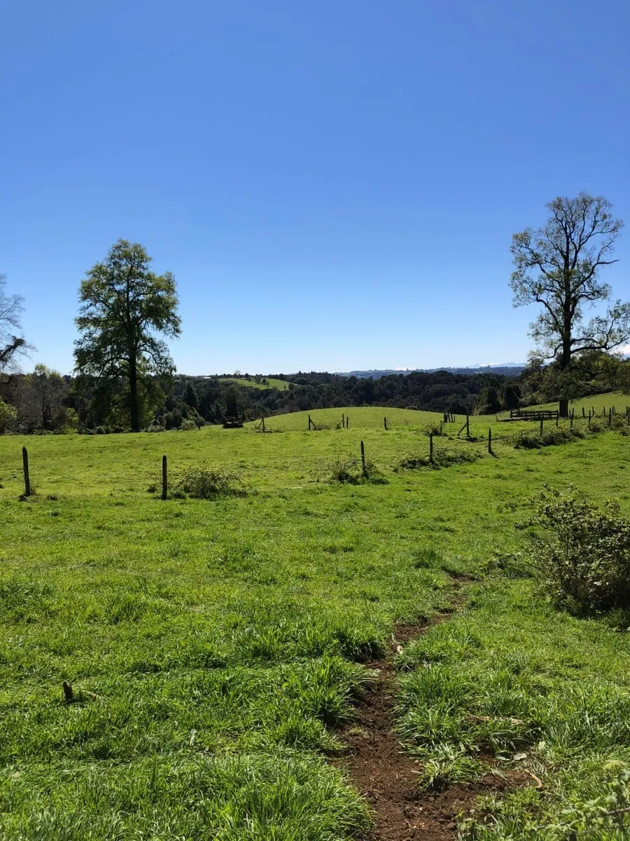 Parcelas Con Vista A Los Volcanes Puerto Varas 19