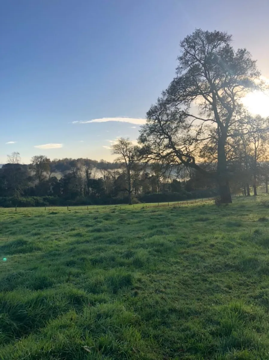 Parcelas Con Vista A Los Volcanes Puerto Varas 21