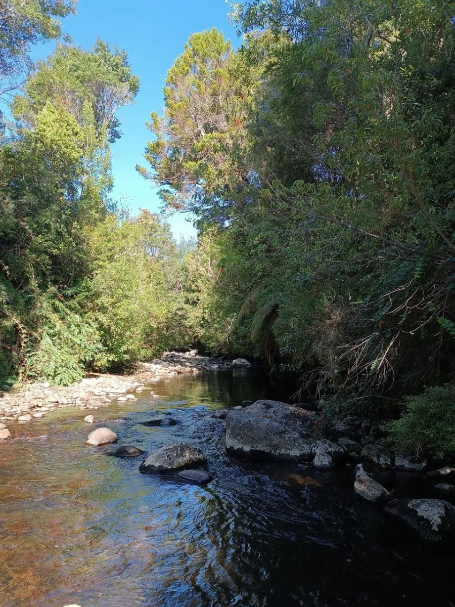 Terreno De 3 Hectáreas 04